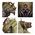 Figurine : Death Guard Semi-Chenille Méphitique - Games Workshop - Warhammer 43-56