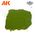 Plague Ground - Ak Interactive 1217