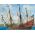 Maquette de voilier : Navire royal suédois VASA 1/150 - Revell 05414 5414