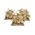 Games Workshop - Maggotkin of nurgle : Nurglings - Warhammer 97-18