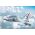 Maquette militaire : Mirage 2000 B/D 1/72 - Italeri 90023