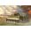Maquette militaire : Pz.Kpfw.VI Ausf.E Sd.Kfz.181 Tiger I 1/16 (Medium Production)  - Trumpeter 00944