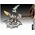 Coffret cadeau : Figurine World of Warcraft "The Orc Thrall" 1/16 - Revell 03516 3516