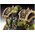 Coffret cadeau : Figurine World of Warcraft "The Orc Thrall" 1/16 - Revell 03516 3516
