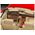 Coffret cadeau : maquette automobile Mercedes-Benz 300 SL-24 Coupé - Revell 05615 5615