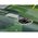 Maquette avion militaire : Heinkel He 111P-1 1/32 - Revell 03755  3755