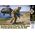 Figurine militaire : Opérateur des forces spéciales ukrainiennes au 1/24 - Masterbox 24089