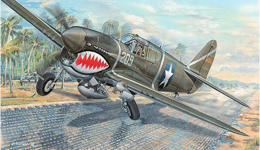 Maquette avion : P-40F War Hawk - 1:32 - Trumpeter 753227