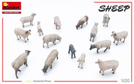 Figurines d'animaux : Moutons 1/35 - Miniart 38042