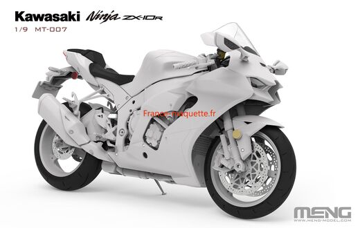 Reproduction fidèle de la Kawasaki Ninja ZX-10R, modèle Superbike