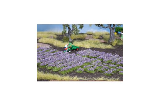 Noch 7136 - Lavandes miniatures 1:87 - 1:120