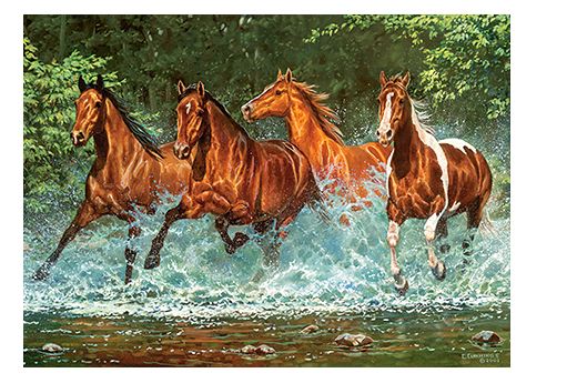 Puzzle Chevaux Cascade - 300 pièces - Castorland 030361