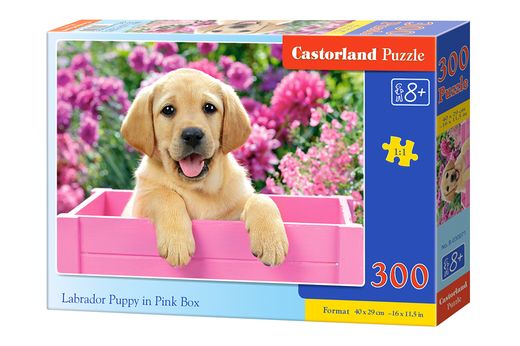 Puzzle Labrador - 300 pièces - Castorland 030071