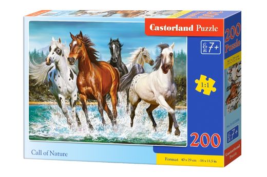 Puzzle chevaux - 200 pièces - Castorland 222056