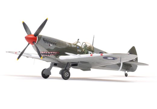 Maquette d'avion militaire : Spitfire Mk.VIII, Profipack - 1:48 - Eduard 08284