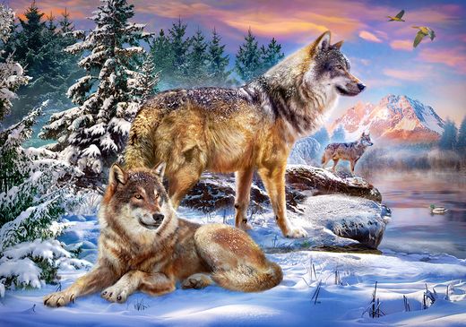 Puzzle Pays des loups - 500 pièces - Castorland 53049