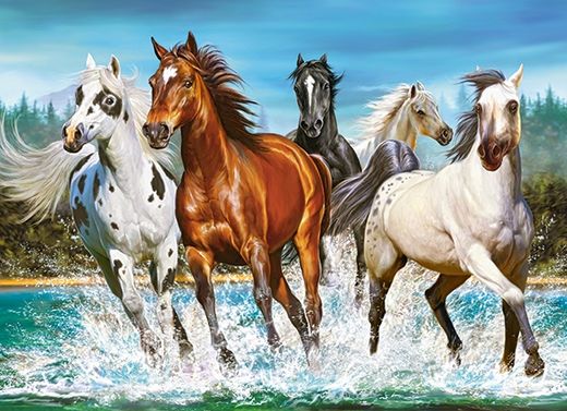 Puzzle chevaux - 200 pièces - Castorland 222056