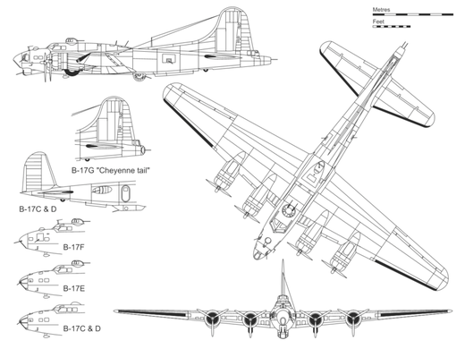 B17