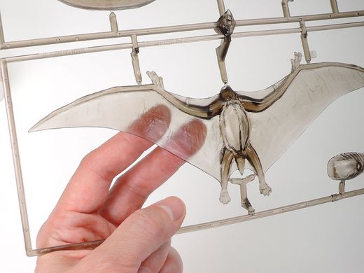 Maquette dinosaure : Pteranodon 1/35 - Tamiya 60204