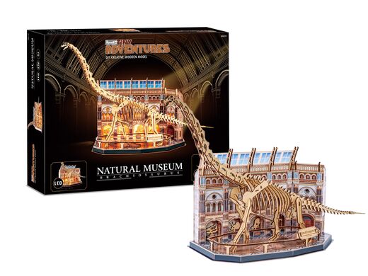 Maquette en bois pour débutant : Tiny Adventures - Natural Museum "Brachiosaurus Sk" - Revell 00619