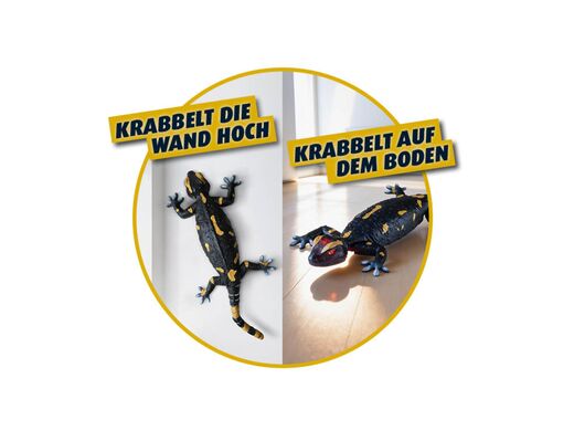 Robo Friends - Robot Salamandre télécommandé - Revell 24705