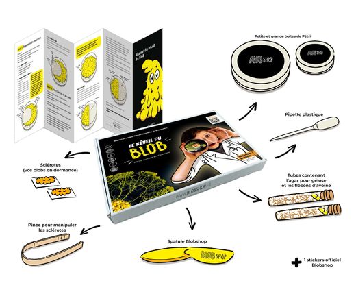 Coffret jouet ludique et expérimental - Kit de culture pour blob - Blobshop
