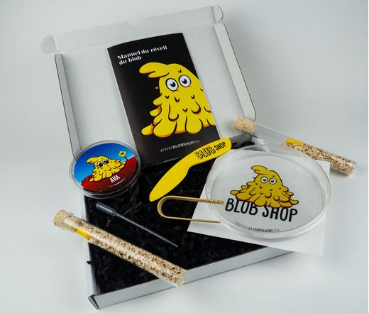 Coffret jouet ludique et expérimental - Kit de culture pour blob - Blobshop