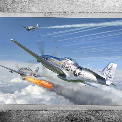 Maquette d'avion : P-51D Mustang 1/72 - Forces Of Valor 873010A