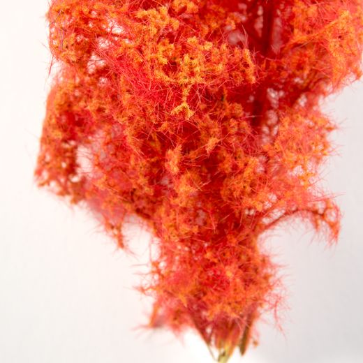 Végétation miniature : Buisson / arbre miniature fantaisie rouge orange - Ak Interactive 8266