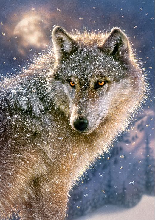 Puzzle Loup solitaire - 500 pièces - Castorland 52431