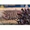 Maquette de Soldats Français - 1/72 - Italeri 06072 6072