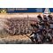 Maquette de Soldats Français - 1/72 - Italeri 06072 6072