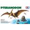Maquette dinosaure : Pteranodon 1/35 - Tamiya 60204