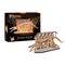 Maquette en bois pour débutant : Tiny Adventures - Natural Museum "Baleine bleue" - Revell 00620