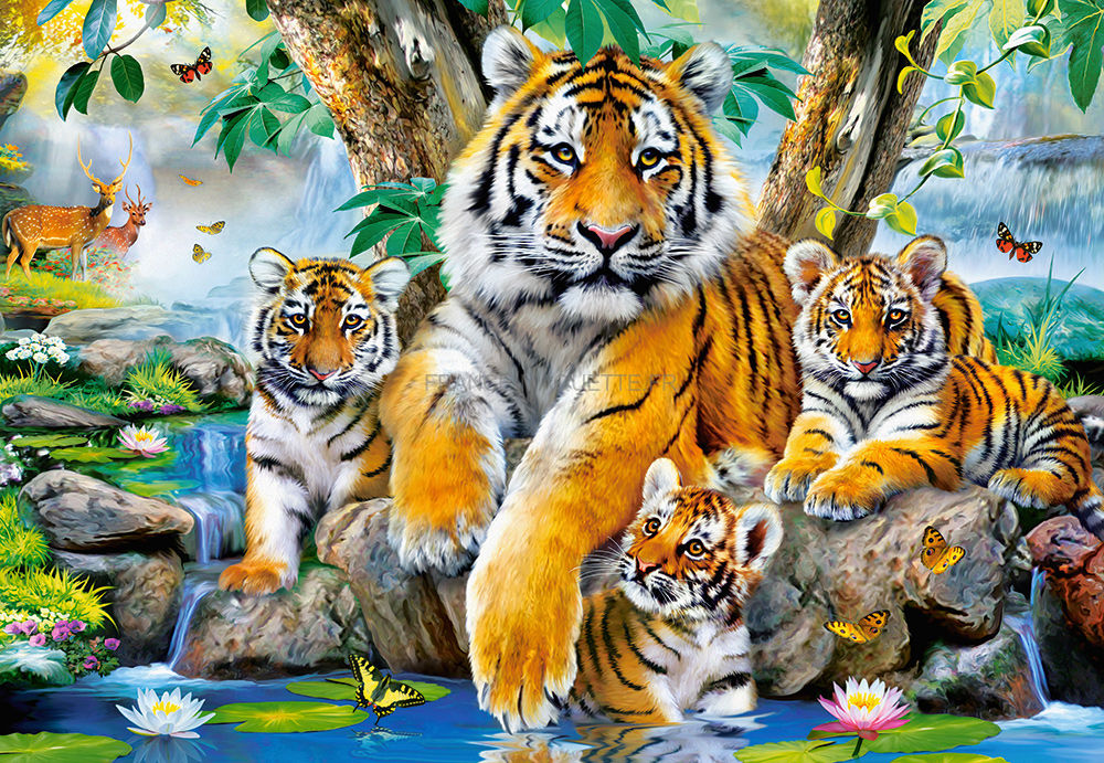 Puzzle Tigres 1000 pièces - Castorland 104413